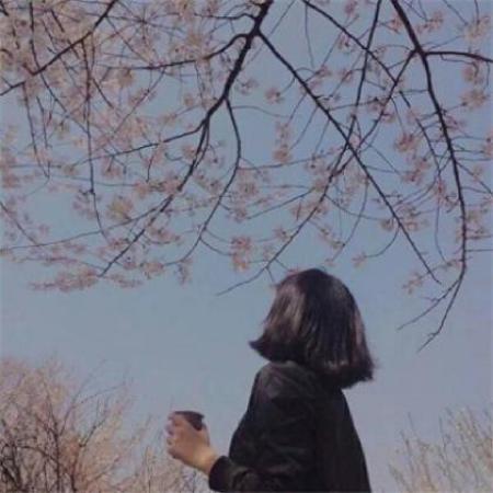 学生头像动漫女(动漫风格学生头像女性)-第1张图片-丝路头像网